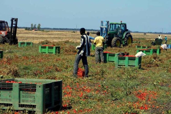 Campagna Estate sicura contro il caporalato