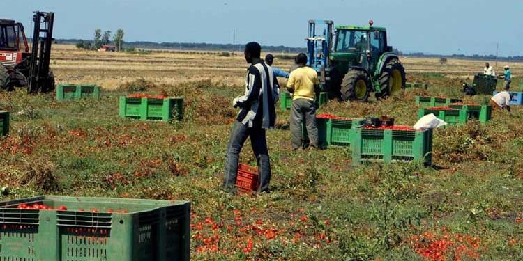 Campagna Estate sicura contro il caporalato