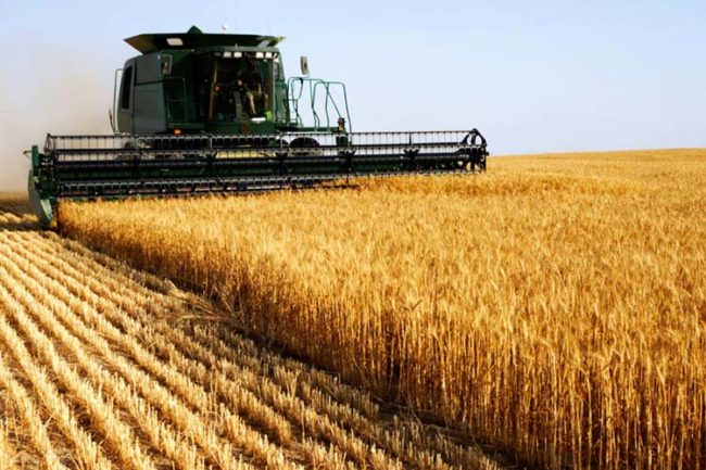 Proroga Bando ISI Agricoltura 2016