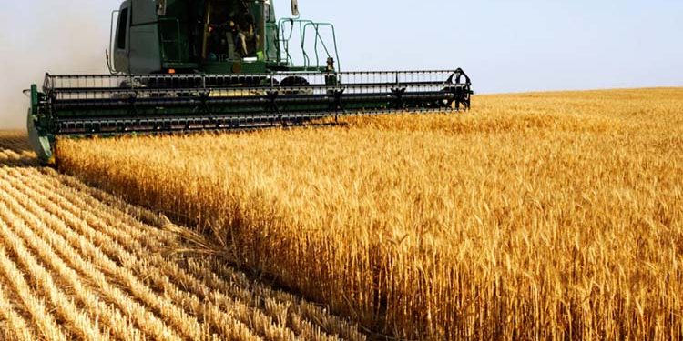 Proroga Bando ISI Agricoltura 2016