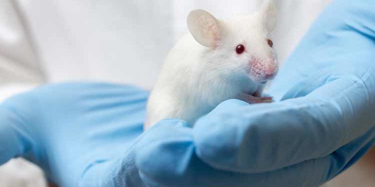 Allergie animali da laboratorio