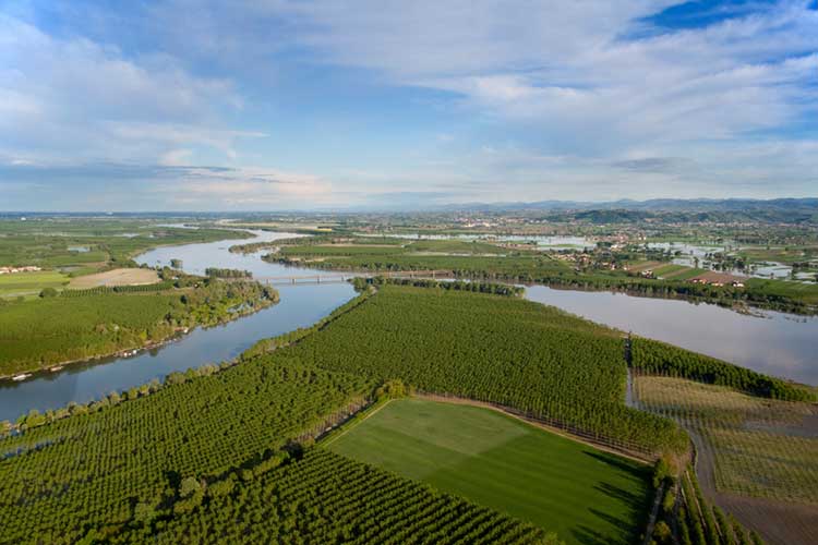 Pesticidi Fiume Po