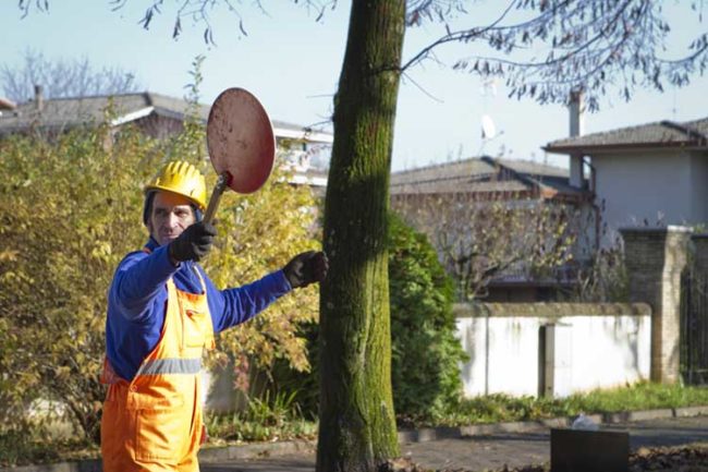 Lavori pubblica utilità