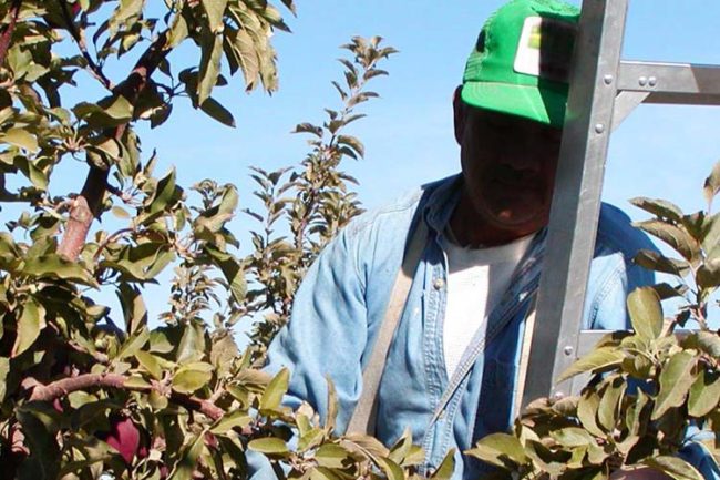 Salute sicurezza in agricoltura