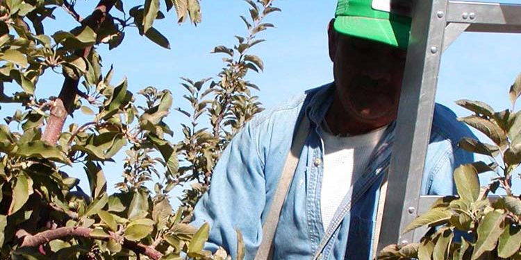 Salute sicurezza in agricoltura