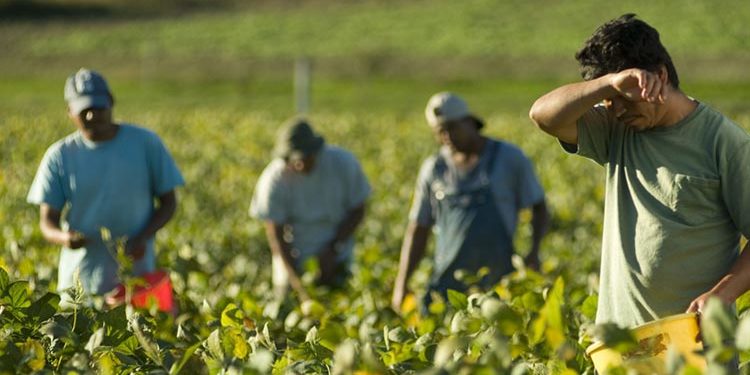 LAvoratori Stagionali