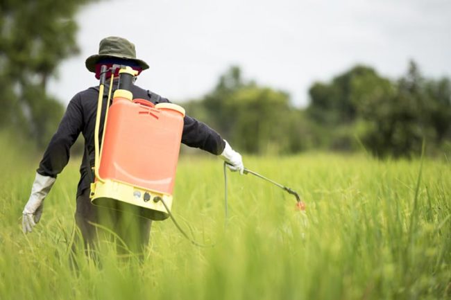 Proroga Prodotti Fitosanitari