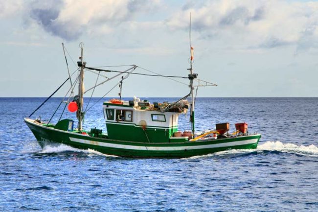 Regione Puglia Investimenti Pesca