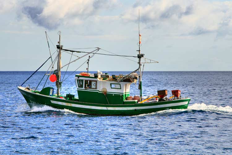 Regione Puglia Investimenti Pesca
