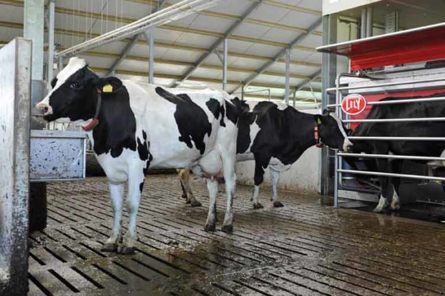 Sicurezza agricoltura allevamenti