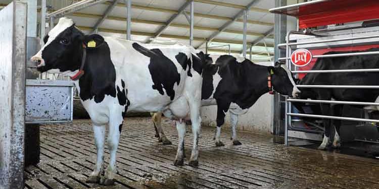 Sicurezza agricoltura allevamenti