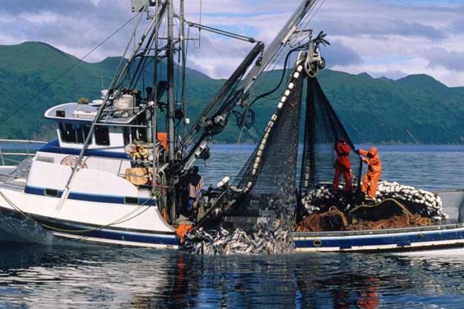 Sicurezza Piccoli Pescherecci