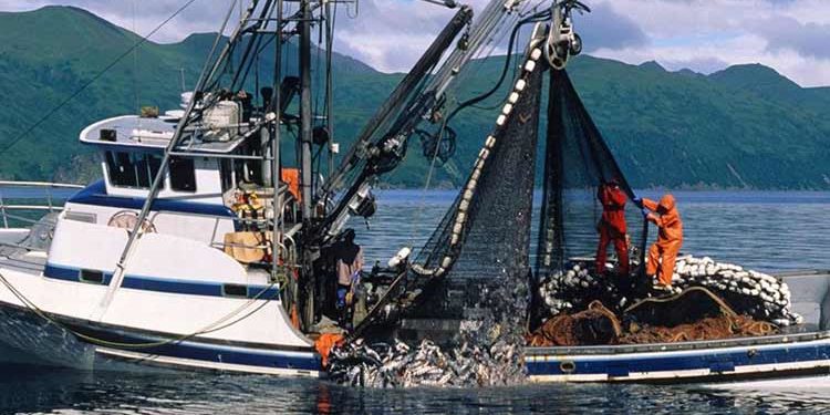 Sicurezza Piccoli Pescherecci