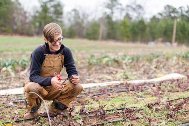 Lavoro Occasionale Agricoltura