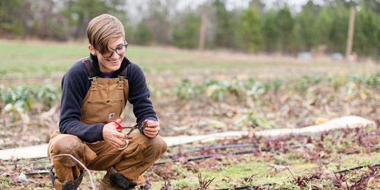 Lavoro Occasionale Agricoltura