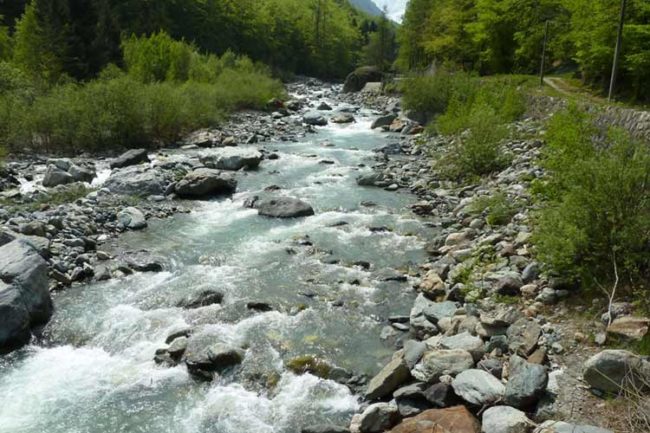 Corpi Idrici Superficiali