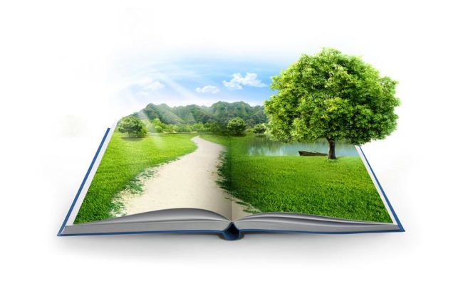 Innovazione Sostenibile