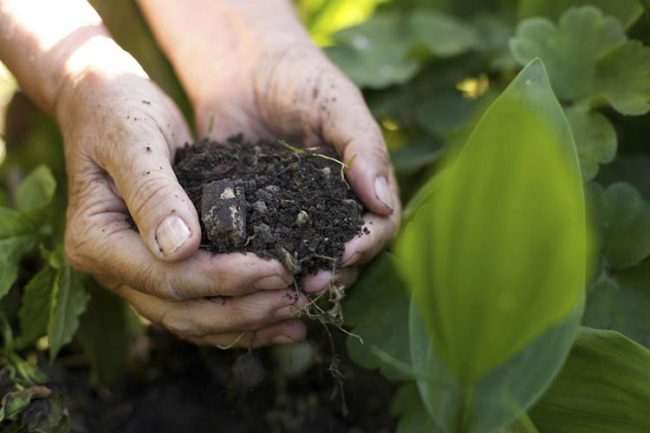 Inail Messina Ricominciamo dalla Terra