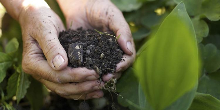 Inail Messina Ricominciamo dalla Terra