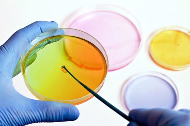 Reach Ministero Sviluppo Economico Buone Pratiche