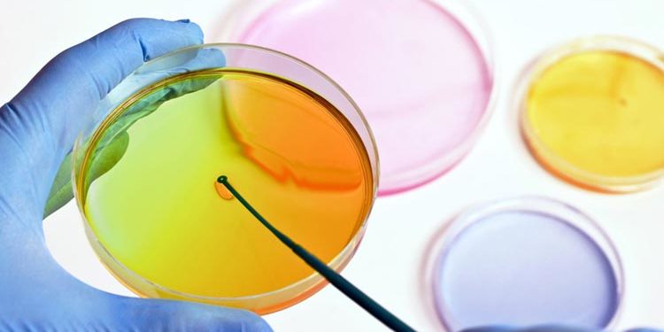 Reach Ministero Sviluppo Economico Buone Pratiche