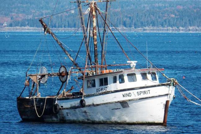 Sgravi pesca costiera acque interne lagunari
