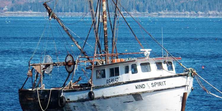 Sgravi pesca costiera acque interne lagunari