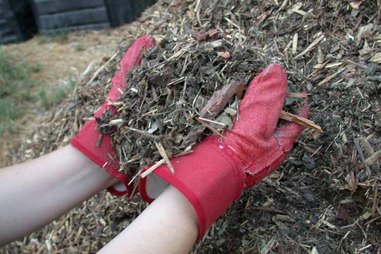 Sicuro Magazine Valorizzazione Rifuiti Organici
