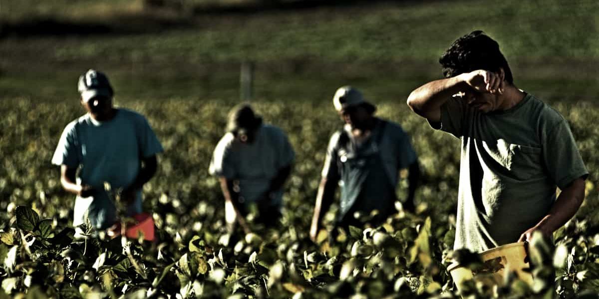 Datore di lavoro Agricoltura Comunicazione infortuni