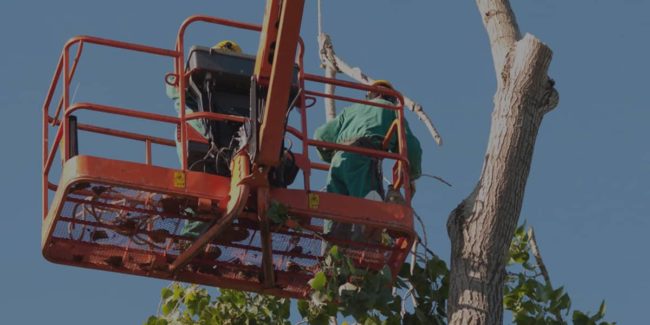 Ammissione di Responsabilità del datore di lavoro in caso di infortunio