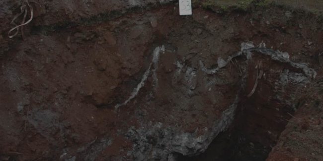 Le malattie professionali nei siti di interesse nazionale per le bonifiche (SIN)