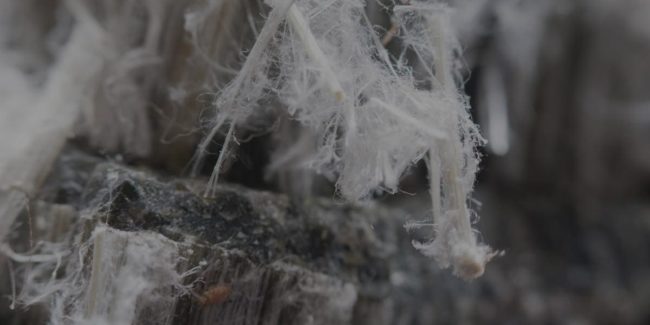 Vittime dell’amianto: prestazioni per gli eredi estese per il 2019 - 2020