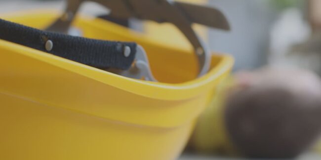 La sicurezza di carta