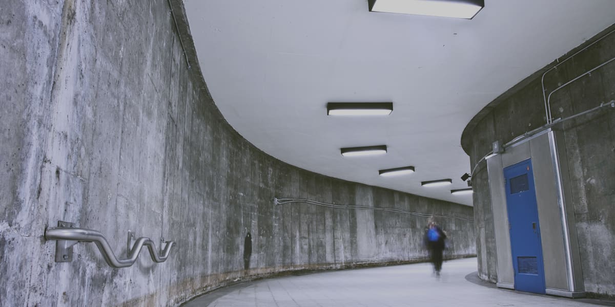 Relazioni, Locali Sotterranei e Tessere: Le Novità della Legge 203/2024